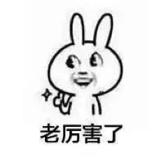 雅思口语程度副词,雅思口语可以说中文名词吗