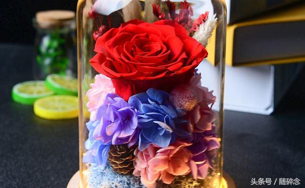 闺蜜礼物永生花,永生花diy礼物