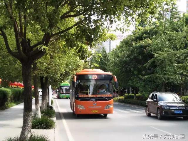 黄石公交去阳新沿途站点,黄石阳新公交车