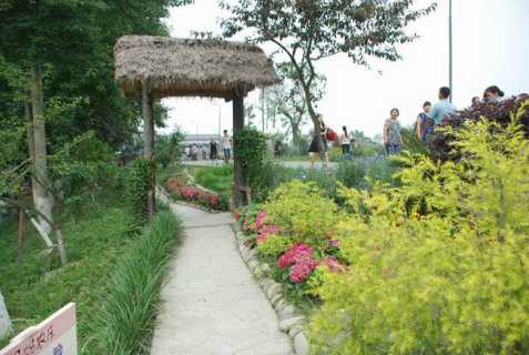 郫都区周末休闲好去处,郫都区唐昌镇有什么好玩的和美食