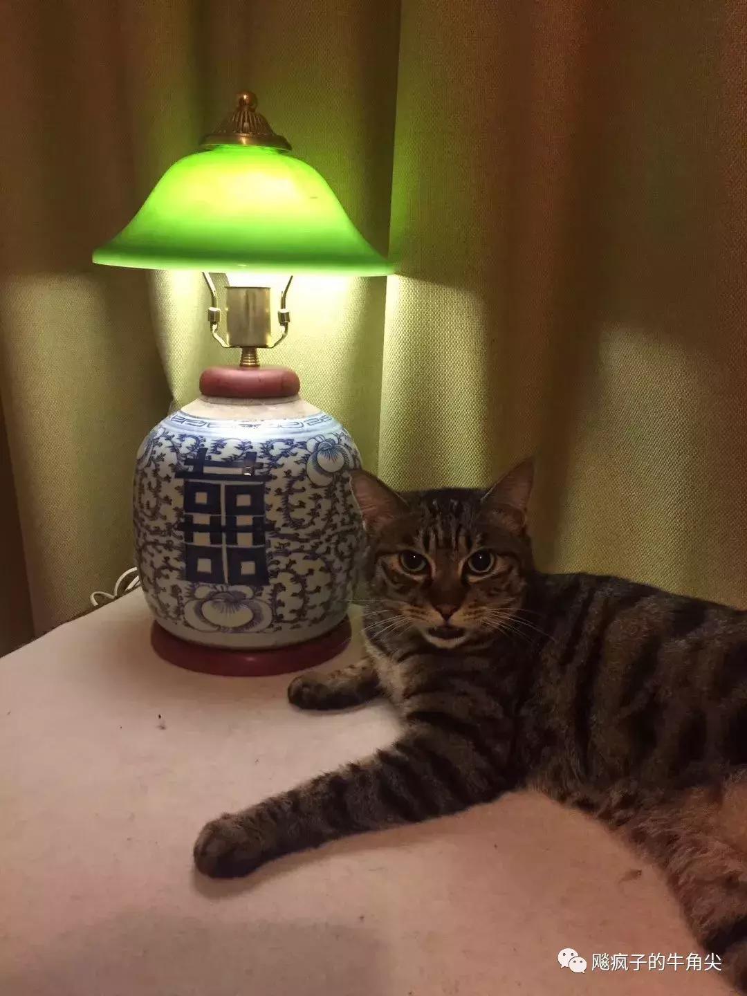 被遗忘的巨龙宝箱,被遗忘的宝箱原神