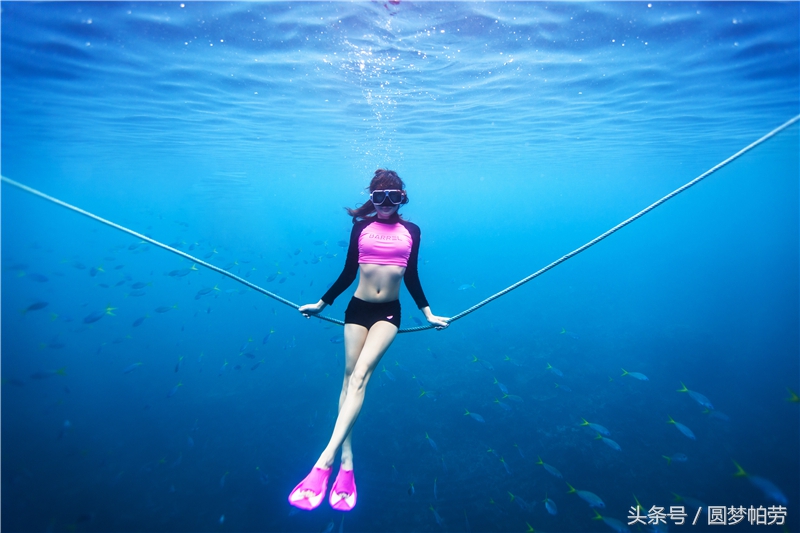 去帕劳旅游自由行行程,帕劳旅游景区行程