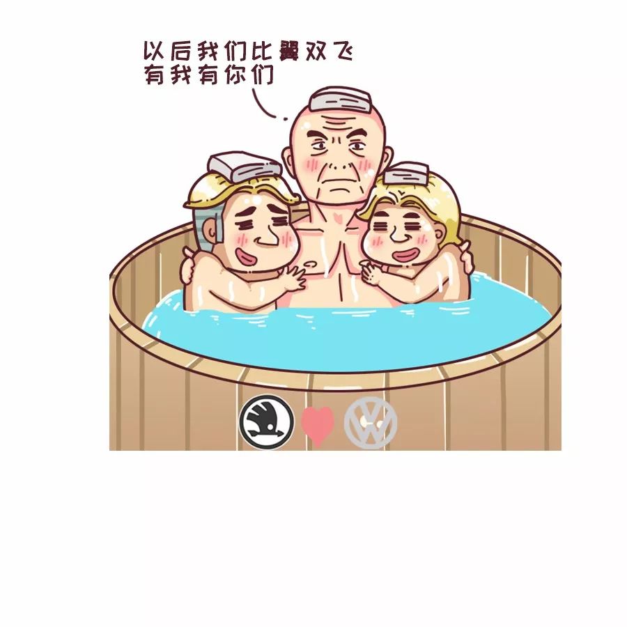 斯柯达雪佛兰哪个品牌好,斯柯达和现代哪个品牌好