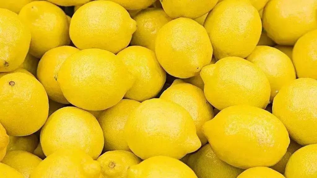 吃完橙子洗了手还是黏黏的,吃完橙子后用不用洗手