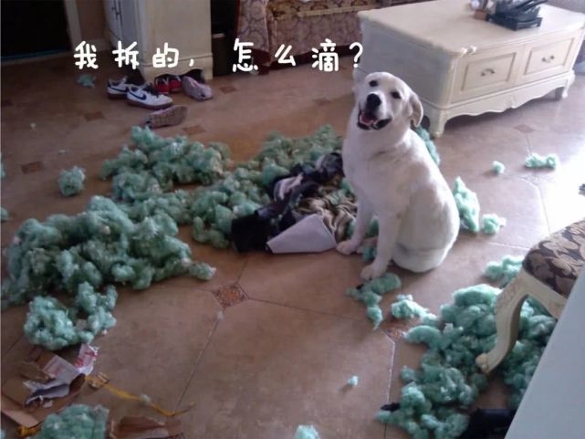 盗圣温韬简介,盗圣温韬是什么人