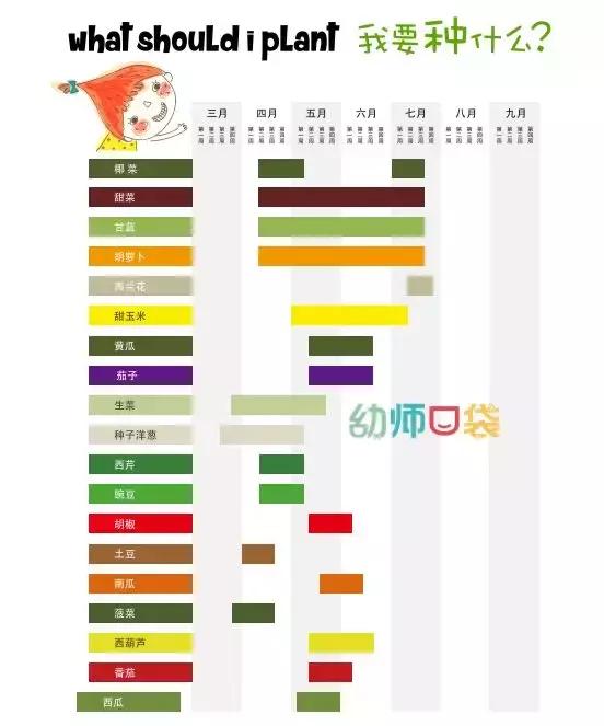 幼儿园春天植物角摆台,幼儿园植物角创意布置图片大全集