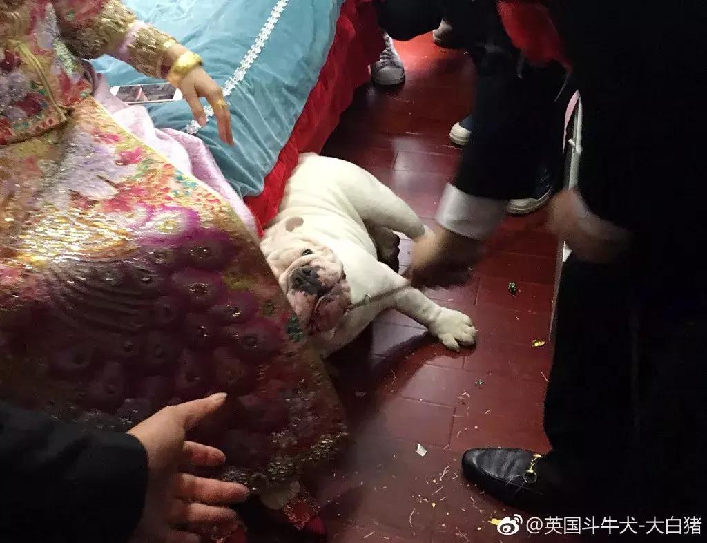 接亲游戏到底哪些最好玩,没有道具的接亲游戏