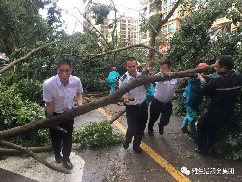 学习||雅居乐物业标杆项目亮点(100张大图解析高品质物业)