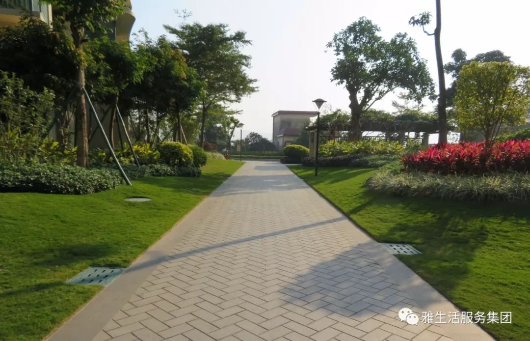 学习||雅居乐物业标杆项目亮点(100张大图解析高品质物业)