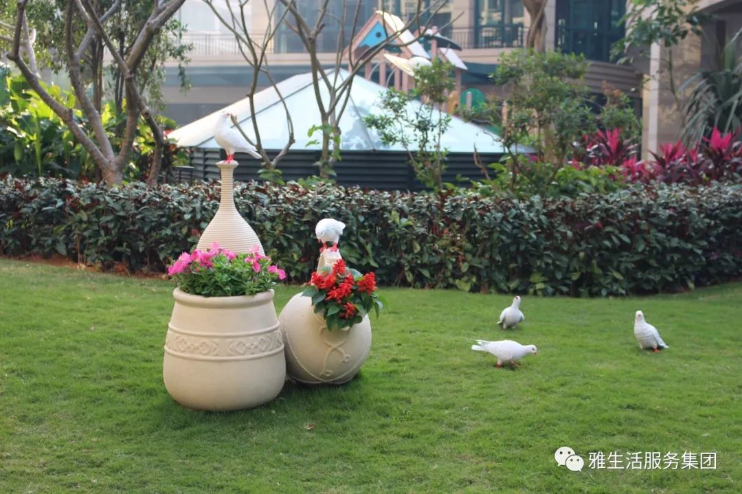 学习||雅居乐物业标杆项目亮点(100张大图解析高品质物业)