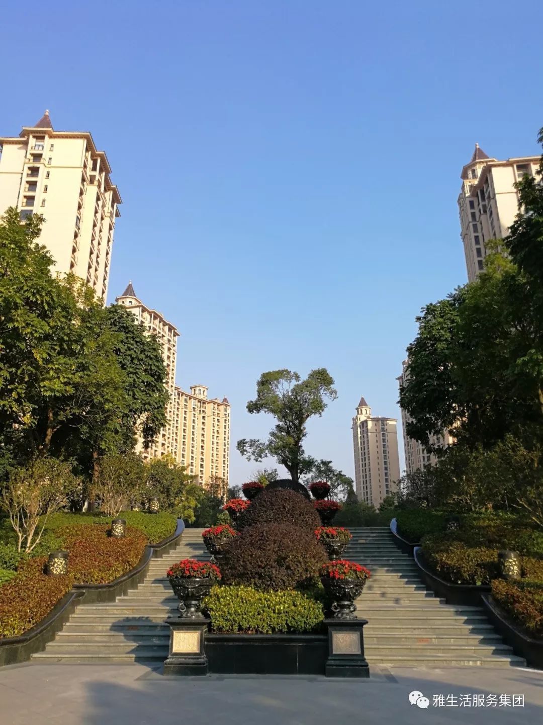 学习||雅居乐物业标杆项目亮点(100张大图解析高品质物业)