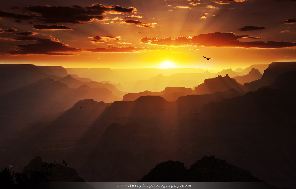 奥斯卡凯迪克奖,凯迪克奖图书