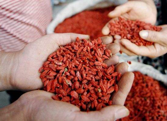 枸杞口碑排行榜第一名大果枸杞,最好的正宗枸杞子是哪里产的