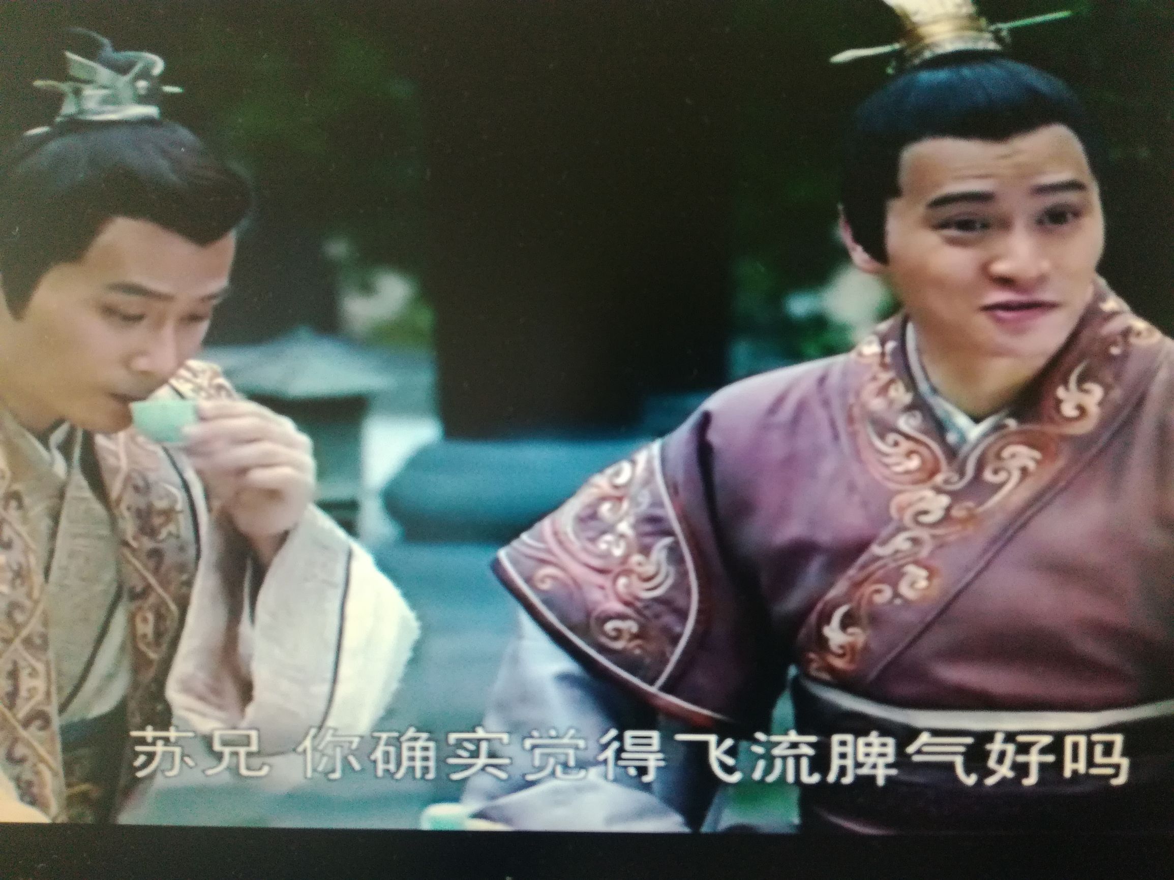 琅琊榜兄弟情深,琅琊榜苏先生飞流