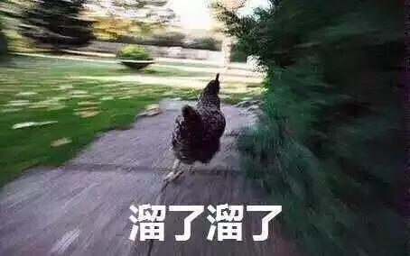 这才是朋友圈里最让人嫉妒的致富方式！