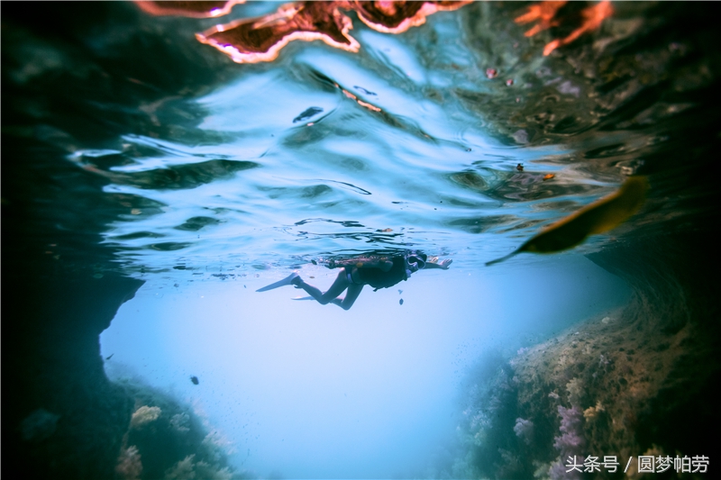 去帕劳旅游自由行行程,帕劳旅游景区行程