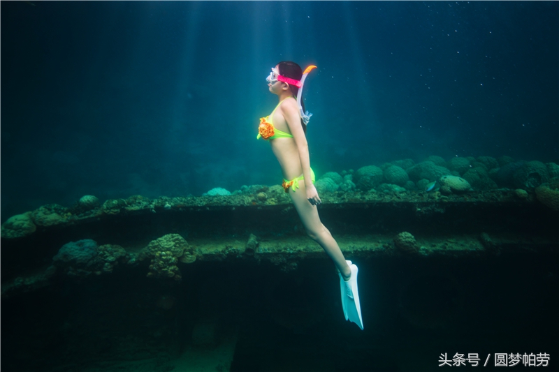 去帕劳旅游自由行行程,帕劳旅游景区行程