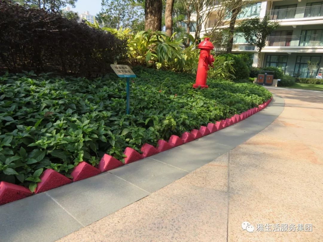 学习||雅居乐物业标杆项目亮点(100张大图解析高品质物业)