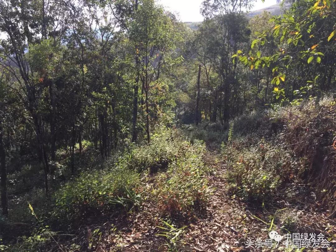 绿会中华保护地,绿会保护地