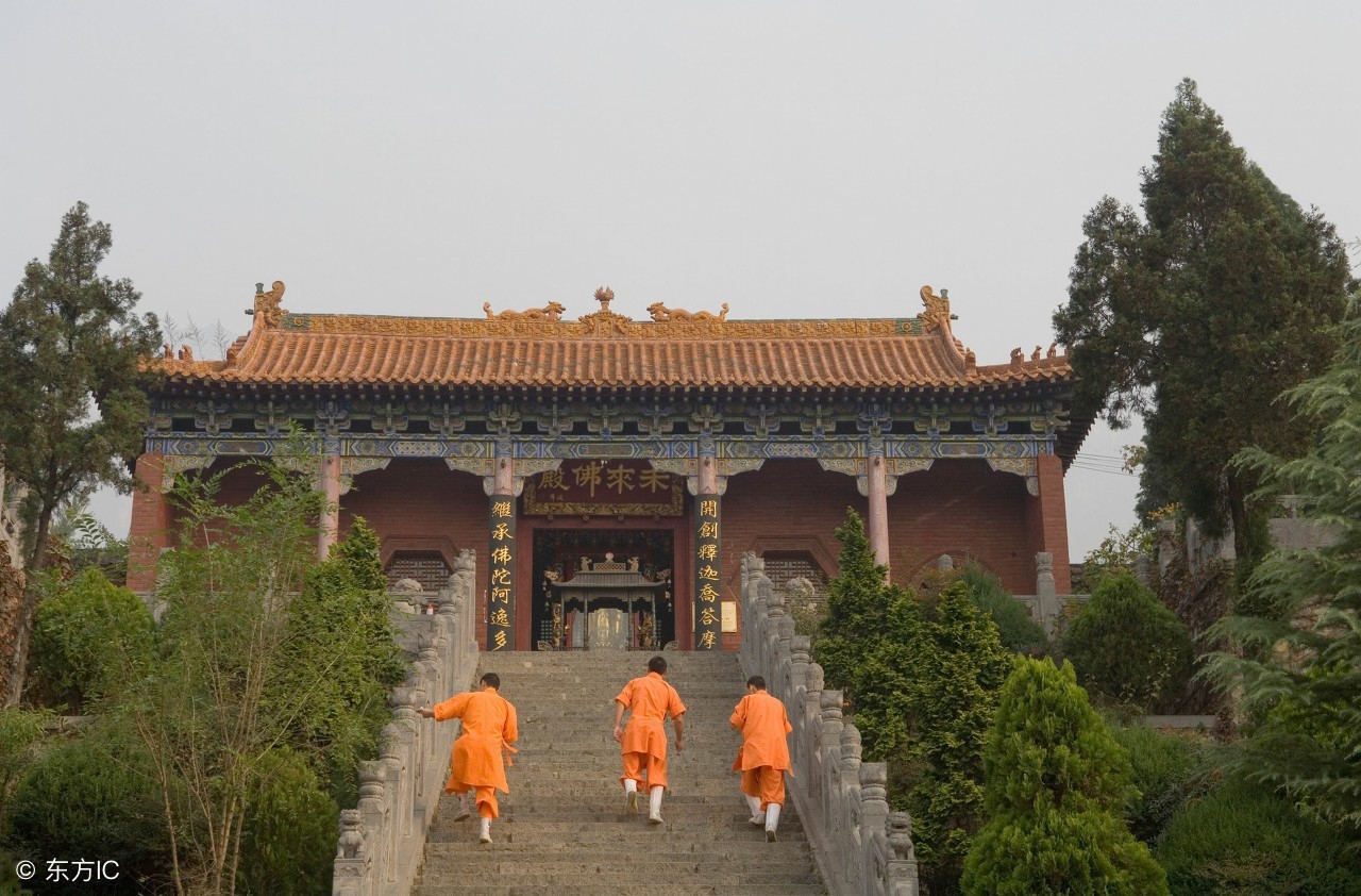 100个超级有趣的冷知识100字,3个有趣的冷知识