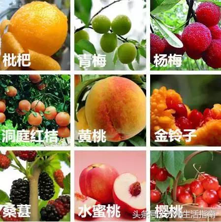 鏀跺ソ杩欎唤鏀荤暐甯︿綘浜彈瑙嗚鐩涘,鏀跺ソ杩欎唤鏃呰鏀荤暐