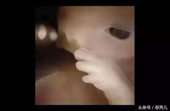 摄影大师花费10年，用镜头记录精子与卵子结合并发育成长的过程！