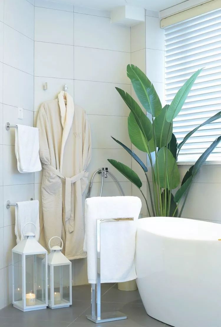 Mu指南|7种家居风格与完美植物搭配