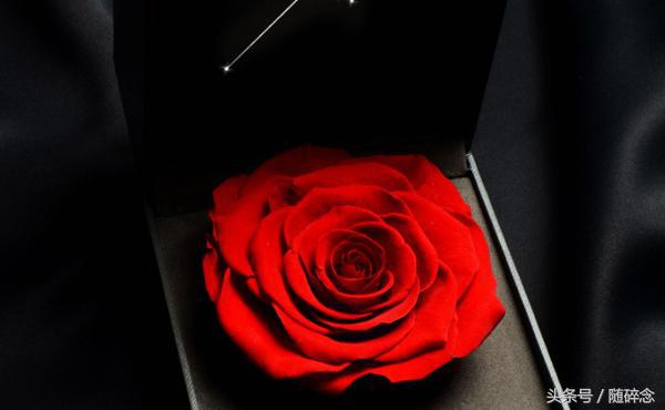 闺蜜礼物永生花,永生花diy礼物