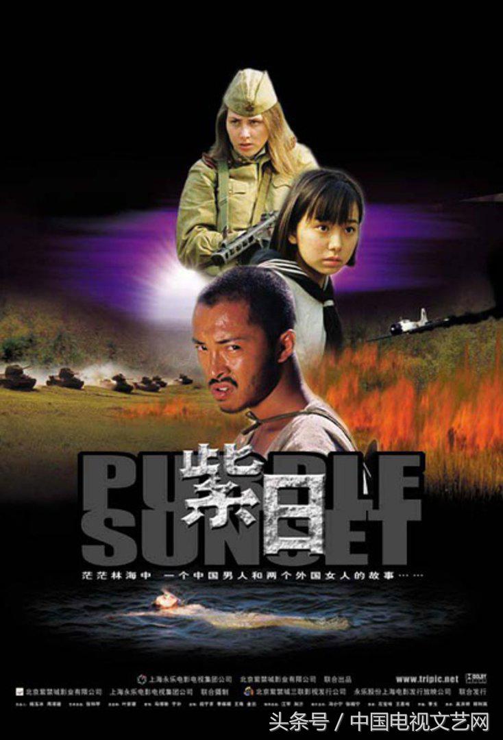 紫日战争片完整版,紫日电影是不是最好的抗日片