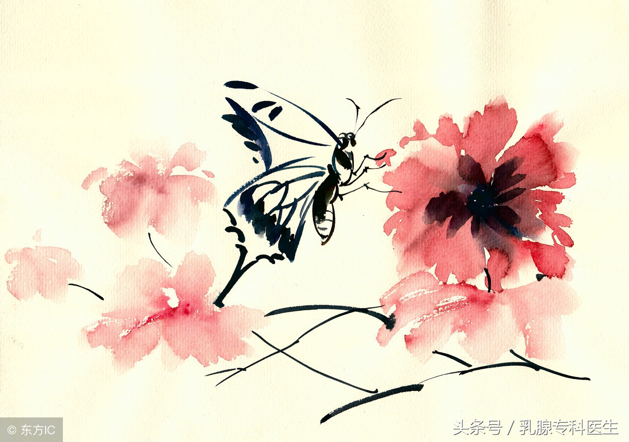 激素替代疗法是什么意思,美国叫停雌激素替代疗法