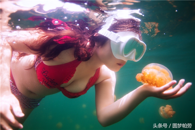 去帕劳旅游自由行行程,帕劳旅游景区行程