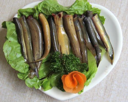 泥鳅的养殖方法及市场前景分析,泥鳅养殖技术泥鳅多少钱一斤