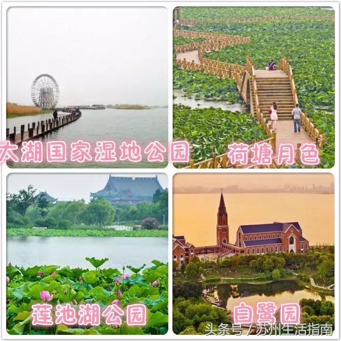 鏀跺ソ杩欎唤鏀荤暐甯︿綘浜彈瑙嗚鐩涘,鏀跺ソ杩欎唤鏃呰鏀荤暐