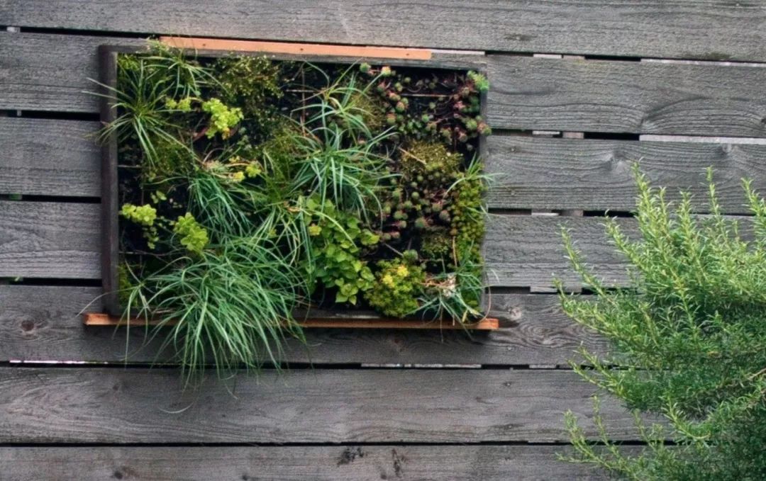 Mu指南|7种家居风格与完美植物搭配