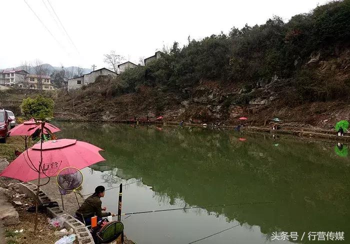 不一样的钓鱼视频,最严格的钓鱼比赛