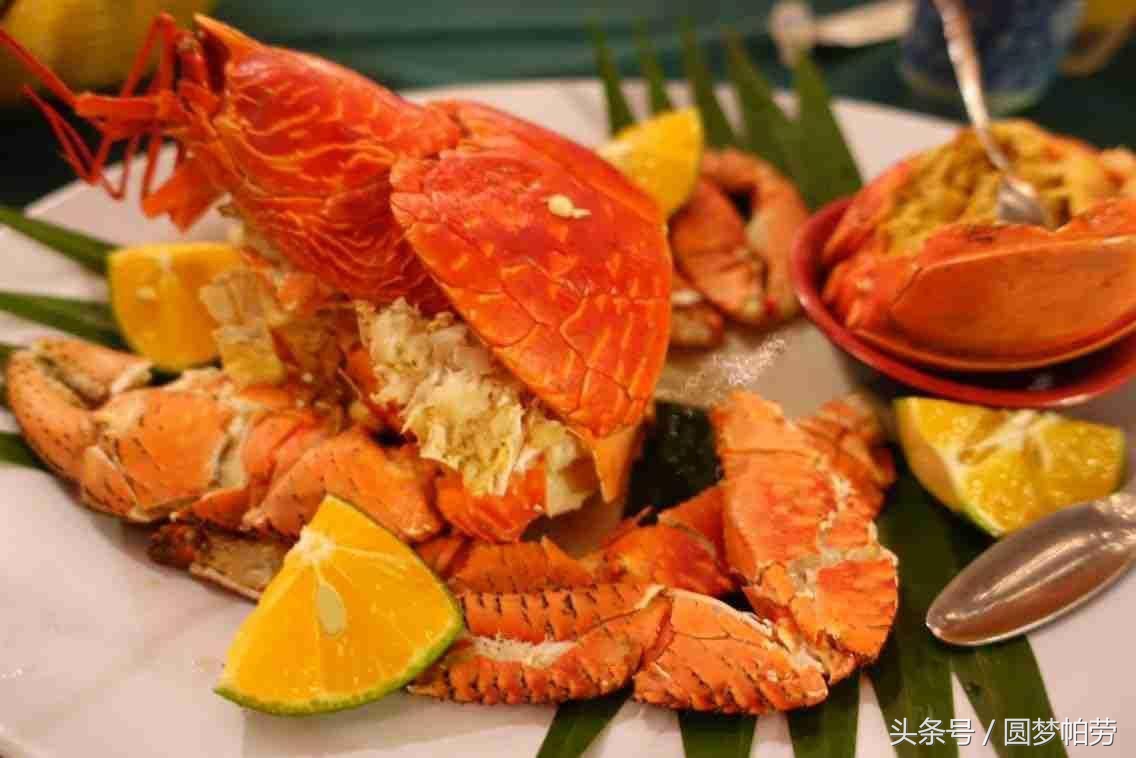 去帕劳旅游自由行行程,帕劳旅游景区行程