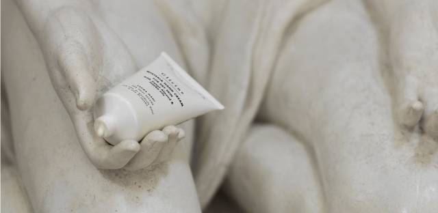 腊梅哪款好用,十大最好的腊梅