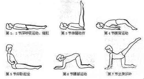 盆底肌和尿道括约肌的关系3d图解,盆底肌知识全解