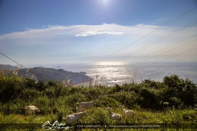 浙江自驾游小岛渔村,浙江小渔村旅游攻略2-3天短途旅游