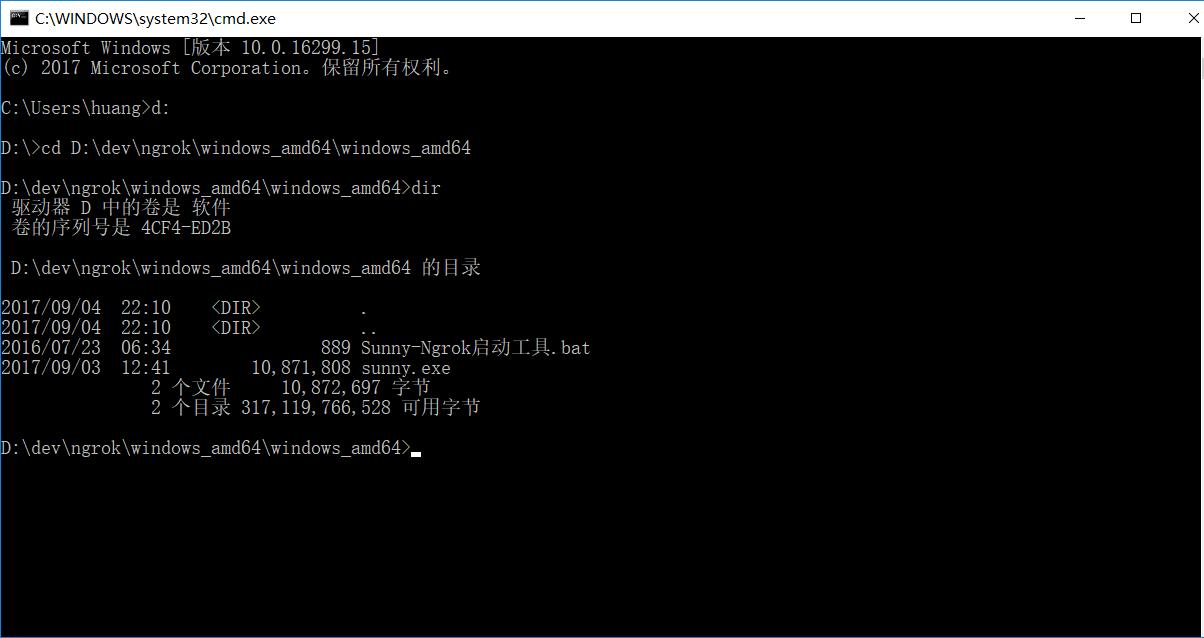 内网穿透ngrok服务器搭建,ngrok内网穿透支持什么协议