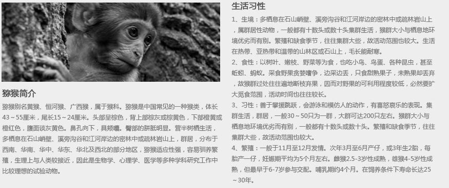 海南省陵水县南湾猴岛旅游景点,海南陵水南湾猴岛图