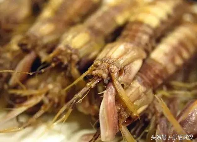 武汉最值得人多去的餐厅,武汉最会吃的人