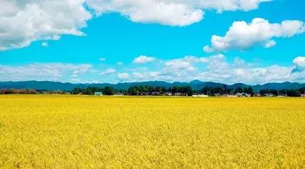 九年级英语第13单元重点知识点,仁爱版九年级英语知识点归纳总结