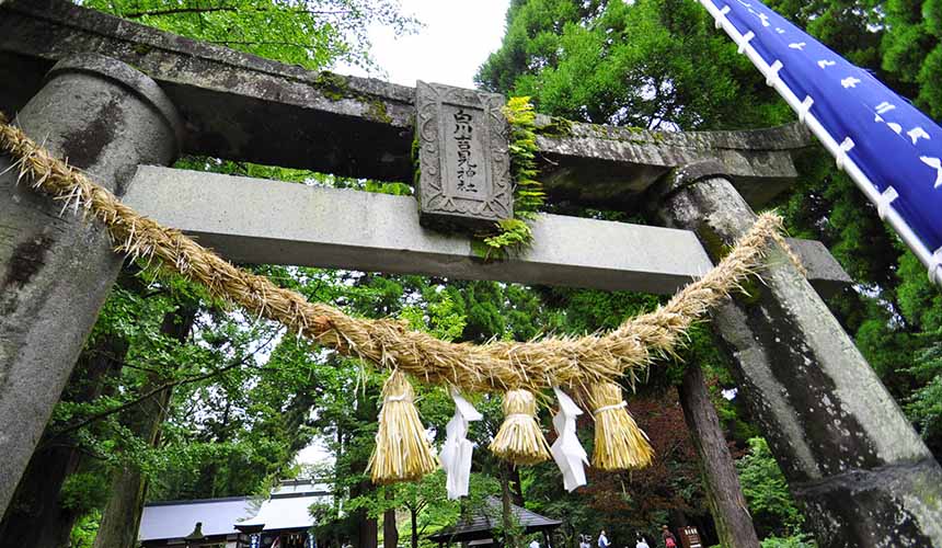 旅游熊本,熊本旅游攻略孩子