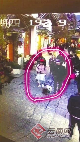 丽江夫妻坐高铁去昆明,一夫妻带着爱犬跑运输