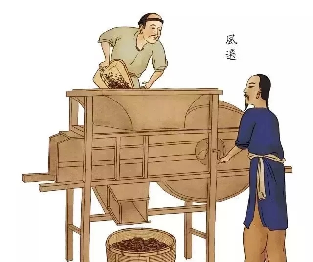 老司机快上车方法,老司机是如何收割水稻的