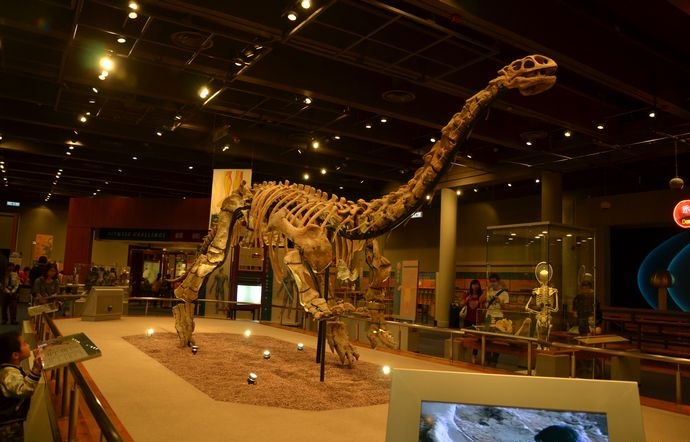 香港旅游攻略自由行,香港嘉里酒店自由行热门攻略