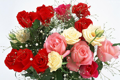 没有经验想开花店要怎么进货呀,常州花店材料进货渠道批发市场