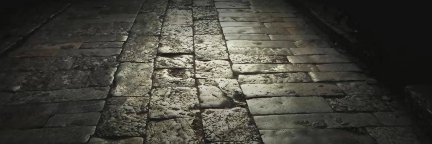 香港红蜻蜓集团有限公司,红蜻蜓集团团队