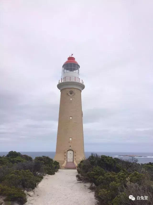 「白兔堂」可能只有不到10%的游客在澳洲玩到了这些!你玩对了吗?